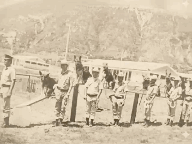 Primera Curso Antidrogas